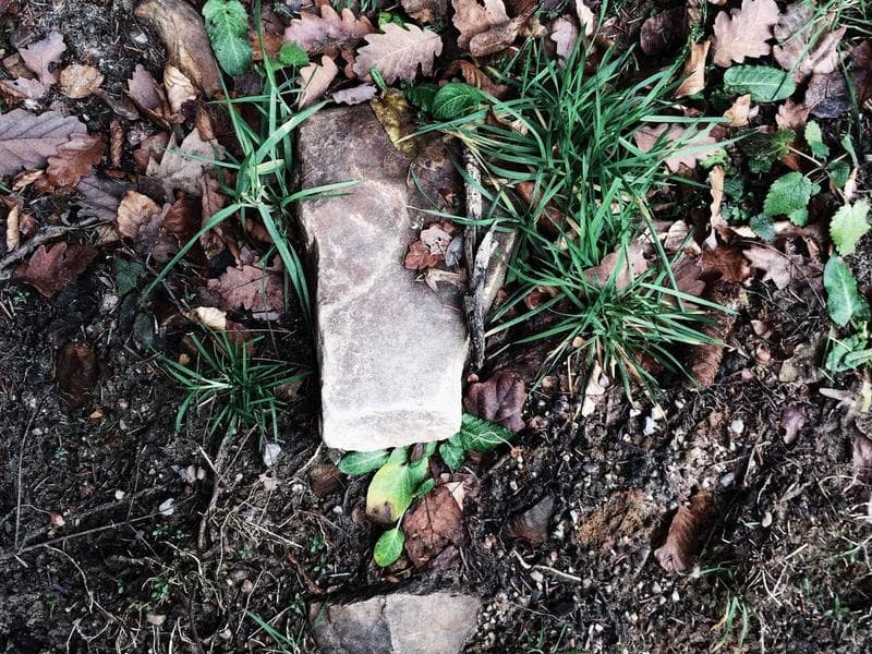 Chemistry Experiment